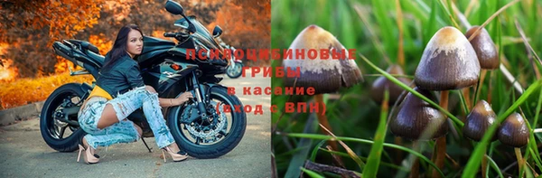 бошки Приозерск