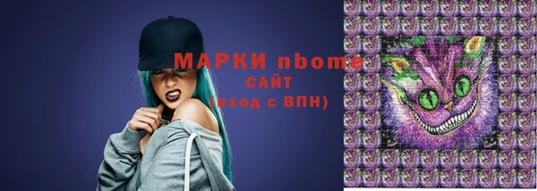 сатива Алзамай