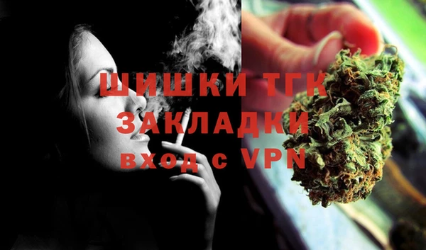 гидра Алексин